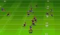 Pantallazo nº 29561 de John Madden Football '92 (320 x 224)