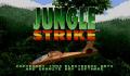 Pantallazo nº 29581 de Jungle Strike (320 x 224)