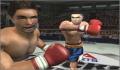 Pantallazo nº 78792 de Knockout Kings 2002 (250 x 175)