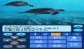 Foto 2 de Kokoro ga uruô Birei Aquarium DS - Kujila, Iruka, Penguin – (Japonés)