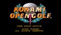 Pantallazo nº 246433 de Konami Open Golf (640 x 480)