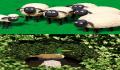 Pantallazo n&ordm; 158263 de La Oveja Shaun (216 x 374)