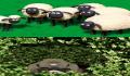 Pantallazo n&ordm; 158264 de La Oveja Shaun (216 x 374)