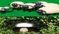 Pantallazo n&ordm; 158265 de La Oveja Shaun (216 x 374)