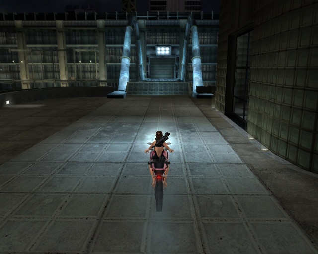 Pantallazo de Lara Croft: Tomb Raider -- Legend para PC