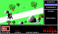 Pantallazo nº 65144 de Last Ninja, The (320 x 200)