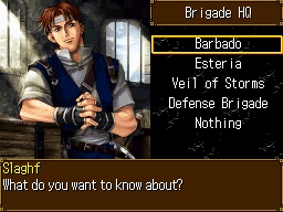 Pantallazo de Legacy of Ys: Books I & II para Nintendo DS