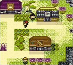 Pantallazo de Legend of the River King 2 para Game Boy Color