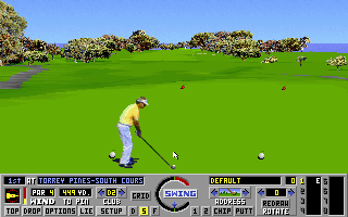 Pantallazo de Links: The Challenge Of Golf para PC