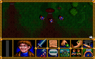 Pantallazo de Lord of the Rings para PC