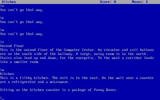Pantallazo de Lurking Horror, The para PC