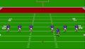 Pantallazo nº 176677 de Madden NFL '94 (640 x 448)