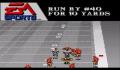 Pantallazo nº 176691 de Madden NFL '94 (640 x 480)