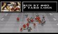 Pantallazo nº 176692 de Madden NFL '94 (640 x 480)