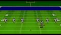 Pantallazo nº 176693 de Madden NFL '94 (640 x 480)