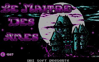 Pantallazo de Maitre Des Ames, Le para PC