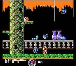 Pantallazo de Master Chu and the Drunkard Hu para Nintendo (NES)