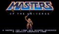 Pantallazo nº 9515 de Masters of the Universe (He-Man) (324 x 209)