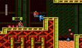 Pantallazo nº 126456 de Mega Man 9 (Ps3 Descargas) (640 x 518)
