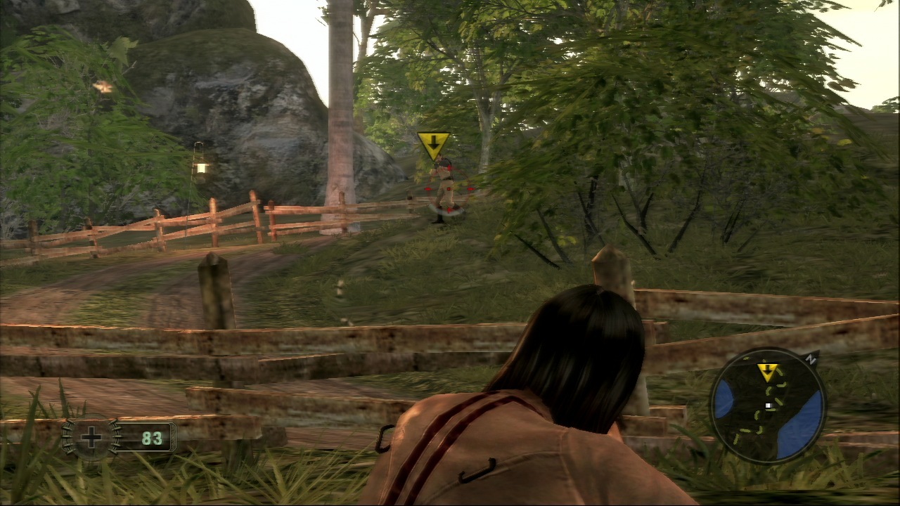 Pantallazo de Mercenaries 2: World in Flames para PlayStation 3