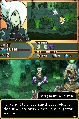 Pantallazo de Might and Magic: Clash of Heroes para Nintendo DS