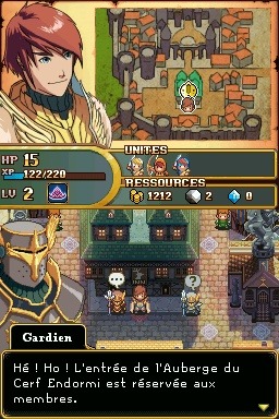 Pantallazo de Might and Magic: Clash of Heroes para Nintendo DS