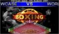 Pantallazo nº 22715 de Mike Tyson Boxing (250 x 166)