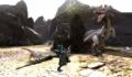 Foto 2 de Monster Hunter 3