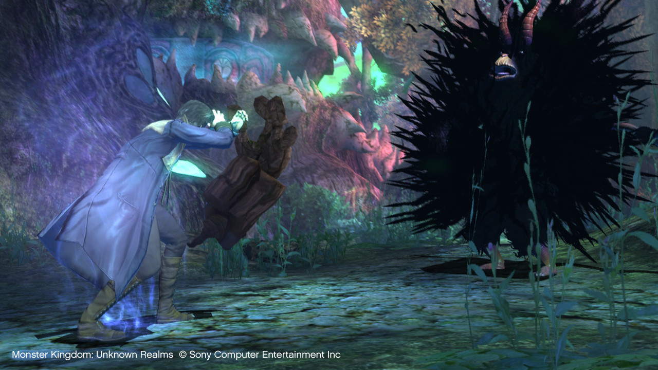 Pantallazo de Monster Kingdom Unknown Realms para PlayStation 3