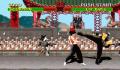 Pantallazo nº 59837 de Mortal Kombat (320 x 200)