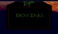 Pantallazo nº 185903 de Muhammad Ali Heavyweight Boxing (640 x 480)