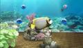 Pantallazo nº 133897 de My Aquarium (Wii Ware) (640 x 448)