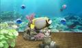 Pantallazo n&ordm; 133897 de My Aquarium (Wii Ware) (640 x 448)