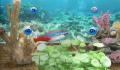Pantallazo nº 133898 de My Aquarium (Wii Ware) (640 x 448)