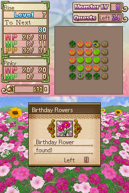 Pantallazo de My World, My Way para Nintendo DS