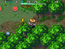 Pantallazo de Mystery Dungeon: Shiren the Wanderer 4 para Nintendo DS