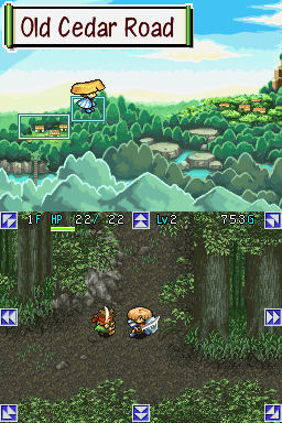 Pantallazo de Mystery Dungeon: Shiren the Wanderer para Nintendo DS