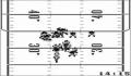 Foto 2 de NFL Football