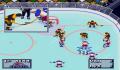 Pantallazo nº 29930 de NHL 95 (256 x 224)