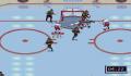 Pantallazo nº 29942 de NHL All-Star Hockey 95 (320 x 224)