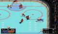Foto 2 de NHLPA Hockey 93