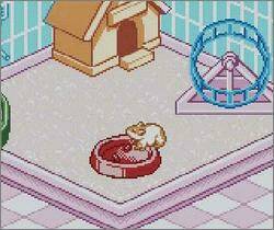 Pantallazo de Nakayoshi Pet Series 1: Kawaii Hamster (Japonés) para Game Boy Color