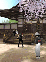Pantallazo de Ninja Gaiden Dragon Sword para Nintendo DS