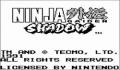 Ninja Gaiden Shadow