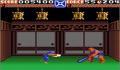 Foto 2 de Ninja Gaiden