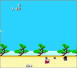 Pantallazo de Ninja Kun: Asyura no Saiyou para Nintendo (NES)