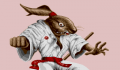 Pantallazo nº 67685 de Ninja Rabbits (a.k.a. Samurai Warriors) (320 x 200)