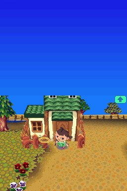 Pantallazo de Oide yo Doubutsu no Mori (Japonés) para Nintendo DS