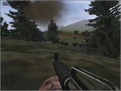 Pantallazo de Operation Flashpoint: Cold War Crisis para PC
