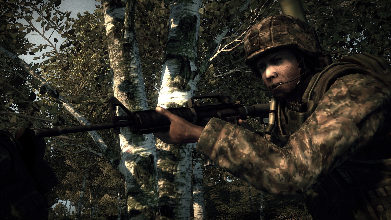 Pantallazo de Operation Flashpoint 2: Dragon Rising para PC